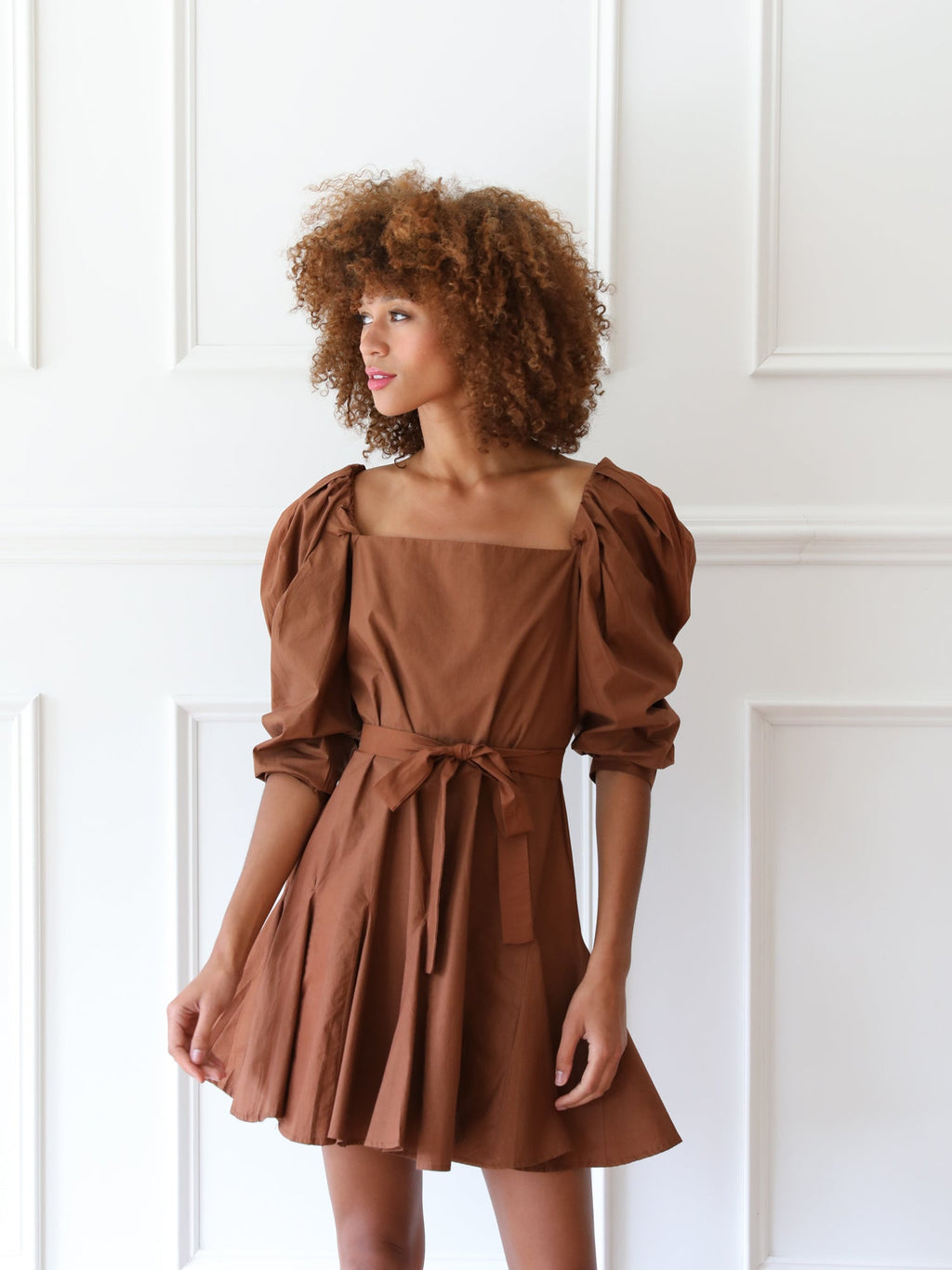 Anais Dress in Clay