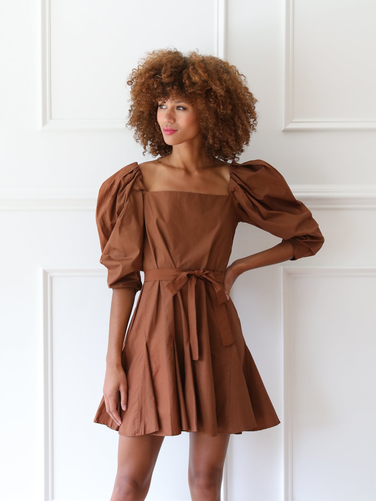Anais Dress in Clay