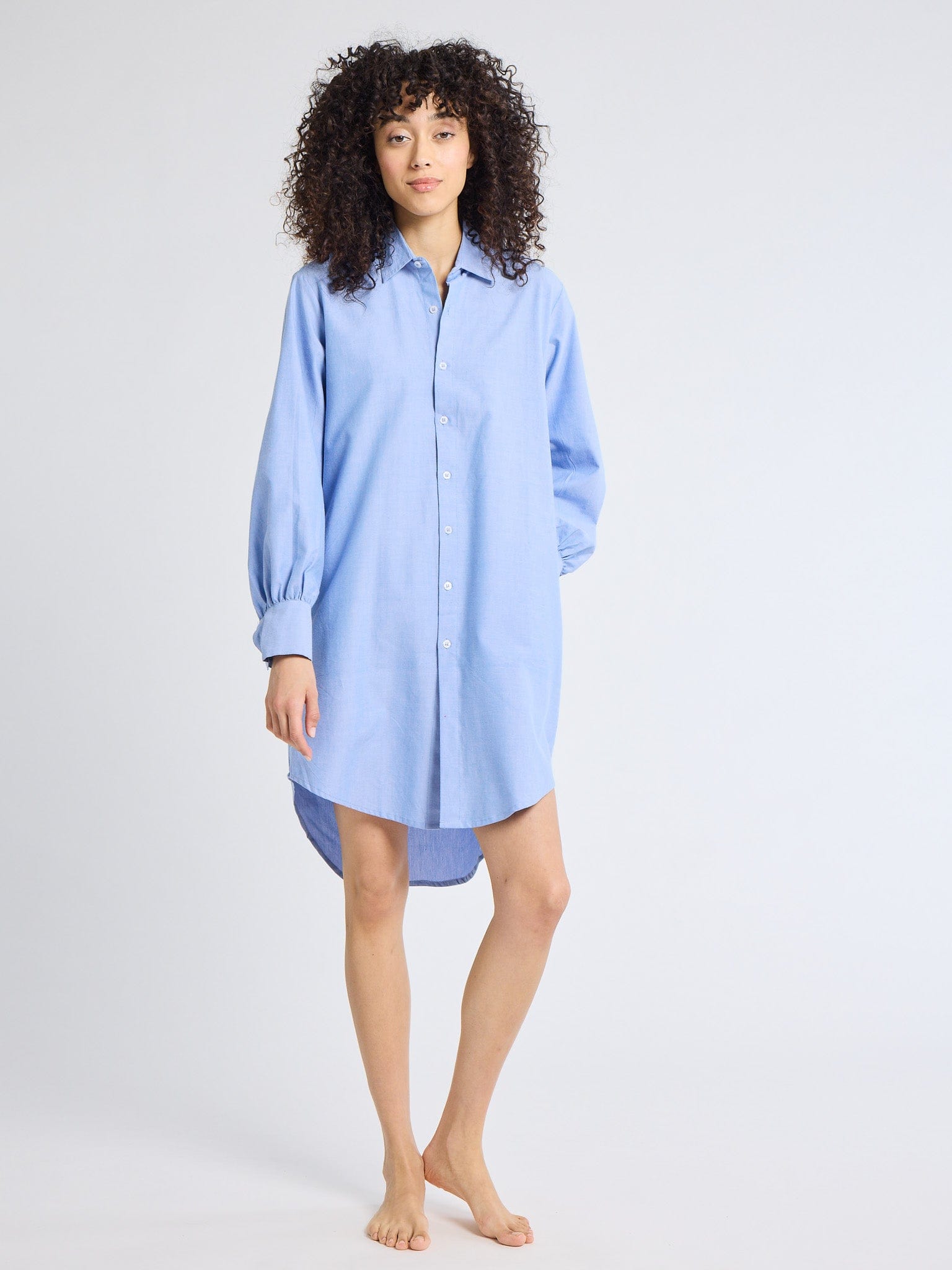 Holly Mini Dress in Blue Oxford