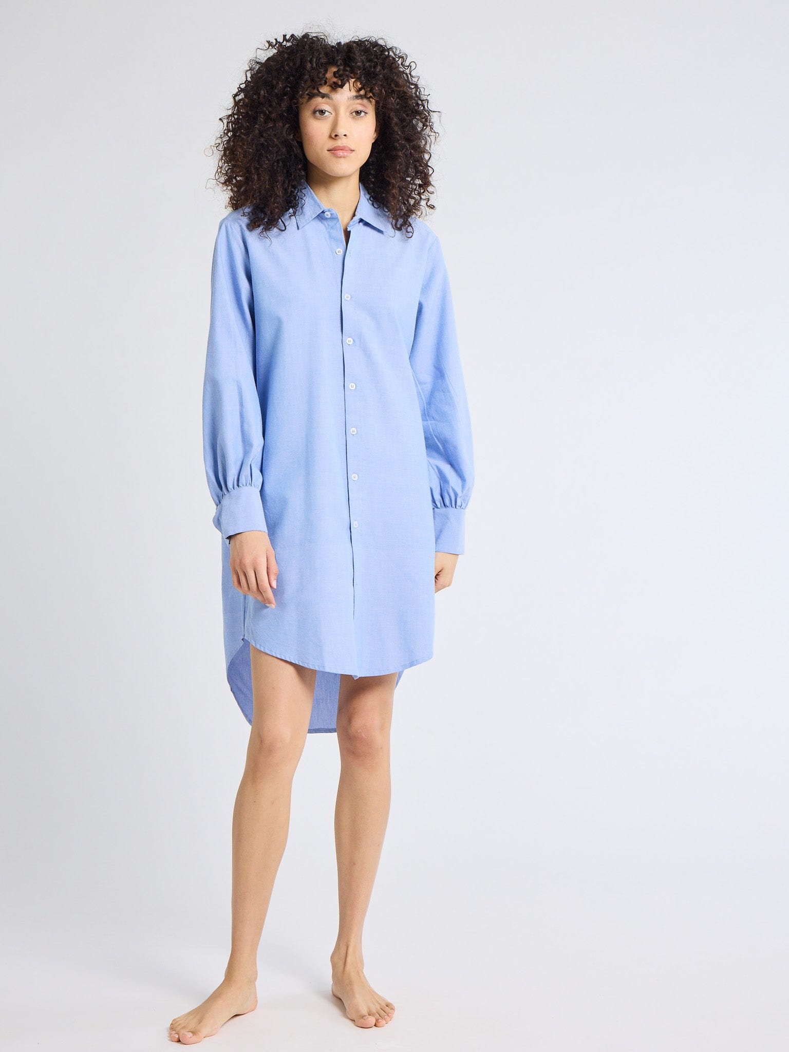 Holly Mini Dress in Blue Oxford