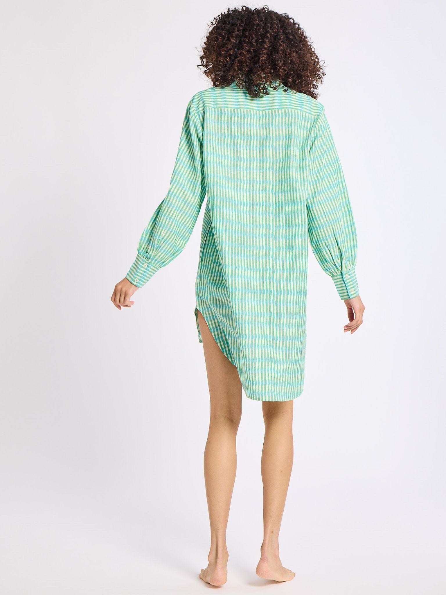 Holly Mini Dress in Green & Blue Ikat