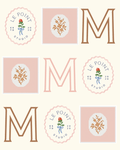LE POINT NEEDLEPOINT CLASS - TAKE HOME KIT